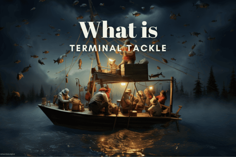 What is Terminal Tackle in Fishing? A Complete Guide