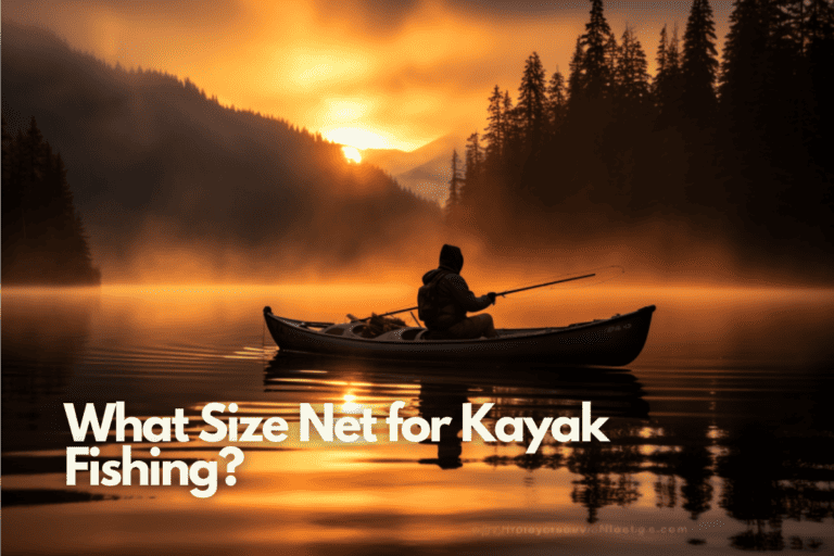 What Size Net for Kayak Fishing: A Comprehensive Guide