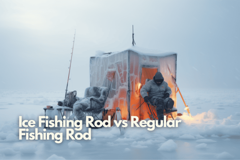 Ice Fishing Rod vs Regular Fishing Rod: A Comprehensive Comparison