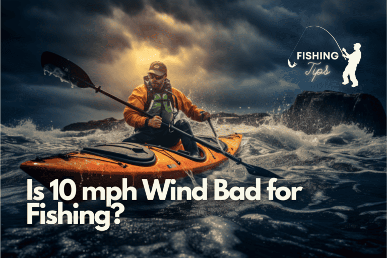Is 10 mph Wind Bad for Fishing? A Personal Dive into the Windy Waters