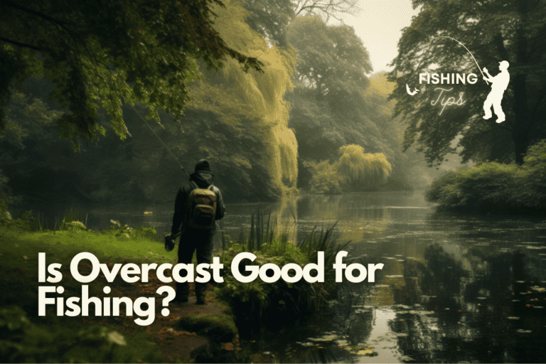Is Overcast Good for Fishing? A Personal Dive into the World of Angling
