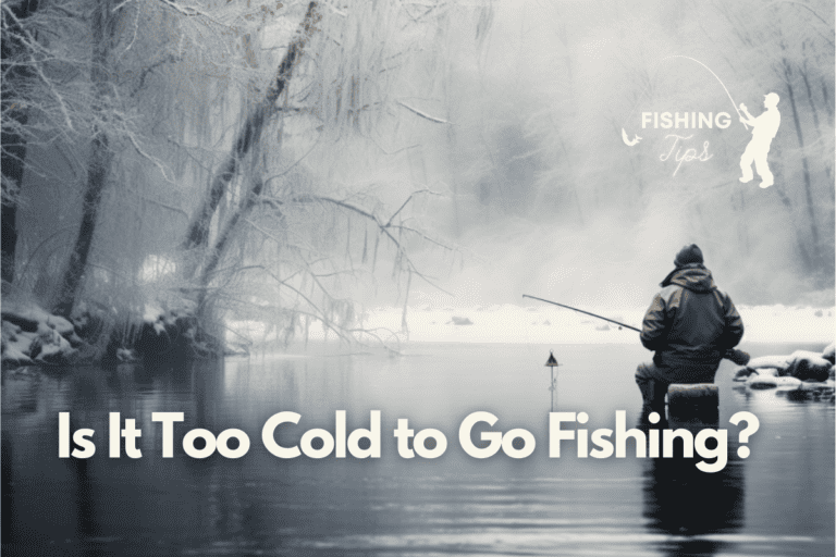 Is It Too Cold to Go Fishing? When it is not worth it