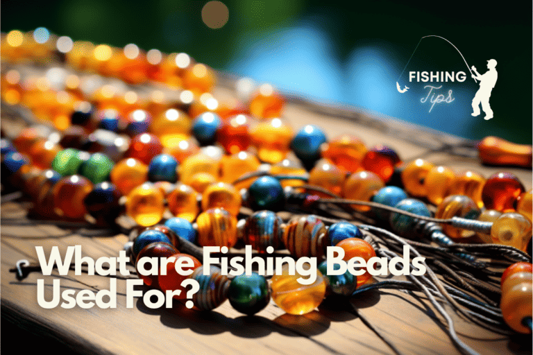 What Are Fishing Beads For: Amplify Your Angling Success