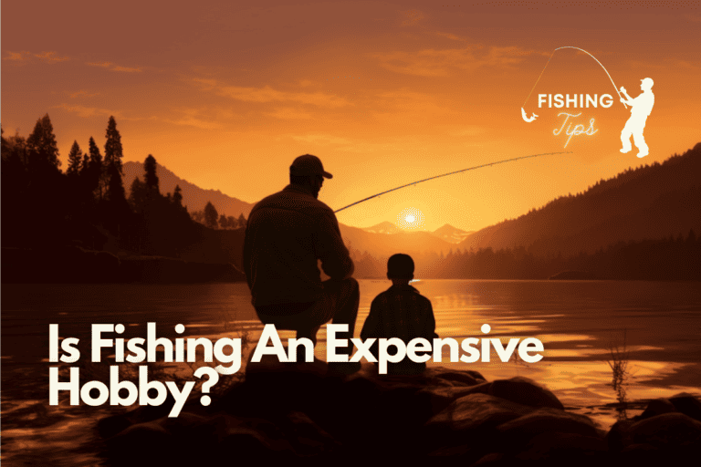 Is Fishing An Expensive Hobby? How Much Do You Have to Pay