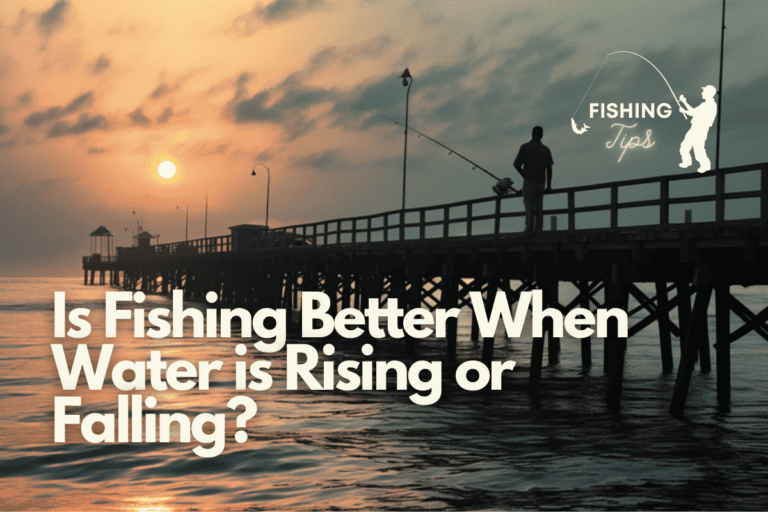 Is Fishing Better When Water is Rising or Falling?